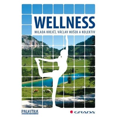 Wellness kniha